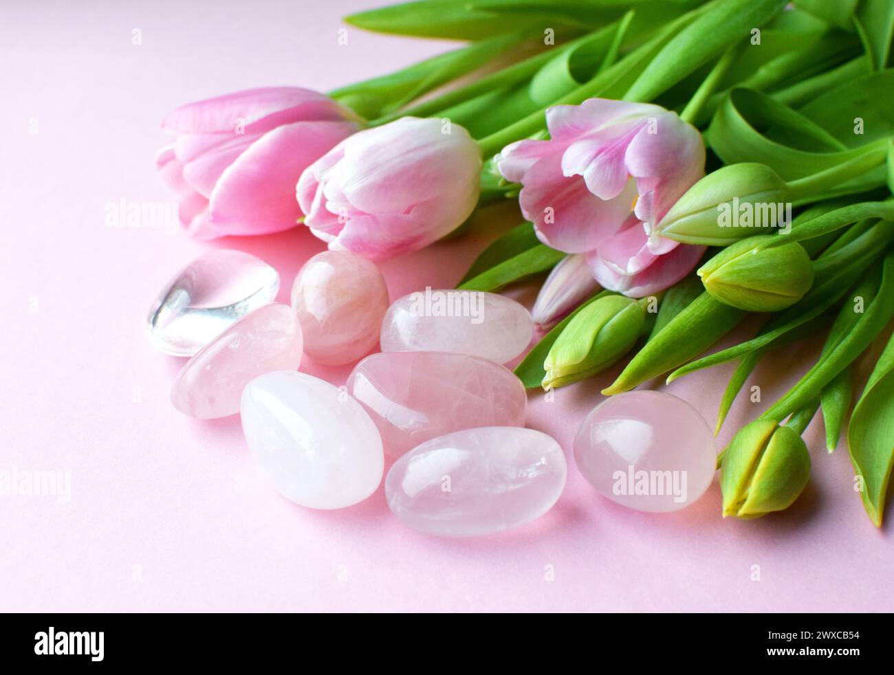 Rose quartz crystals and a bouquet of pink tulips. Healing crystals, the magic of precious stones. Stock Photo