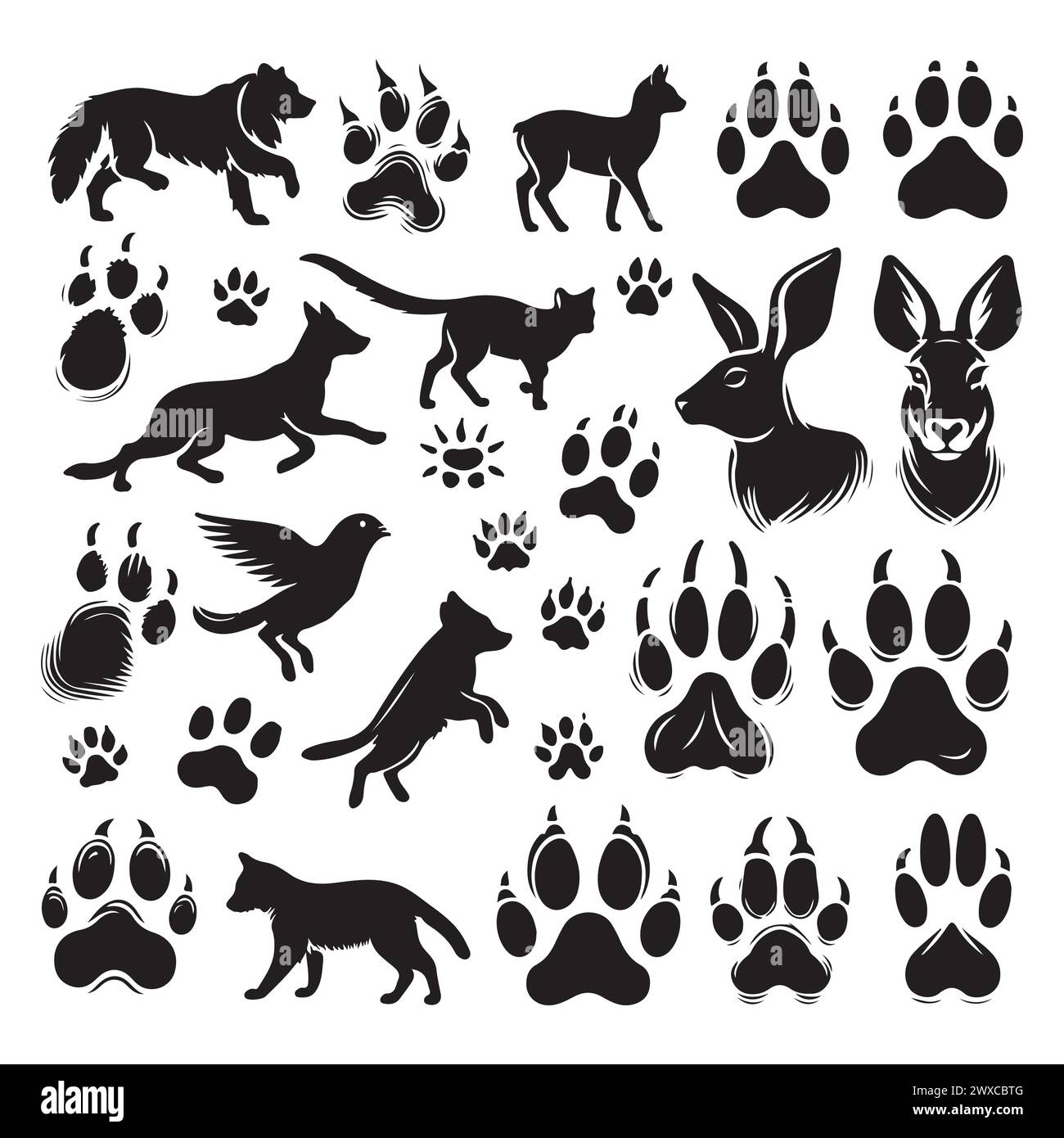 Silhouette set of different animals and their footprint Stock Vector ...