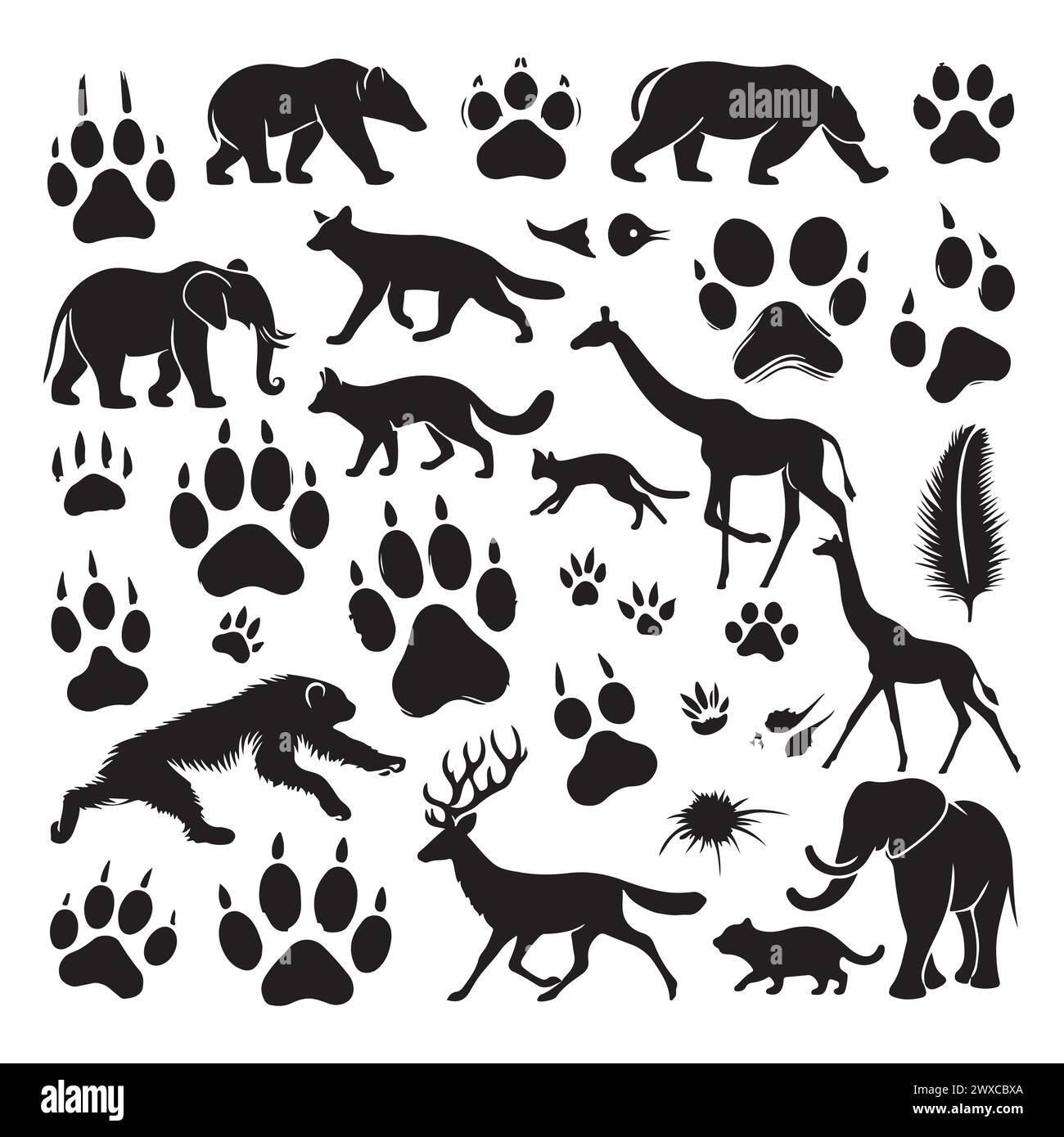 Silhouette Set Of Different Animals And Their Footprint Stock Vector silhouette-set-of-different-animals-and-their-footprint-stock-vector