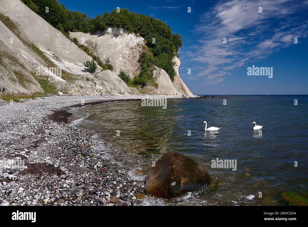 Rugen national park hi-res stock photography and images - Alamy
