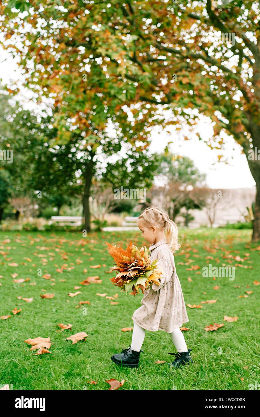 Little girl walks through the park collecting a bouquet of yellow ...