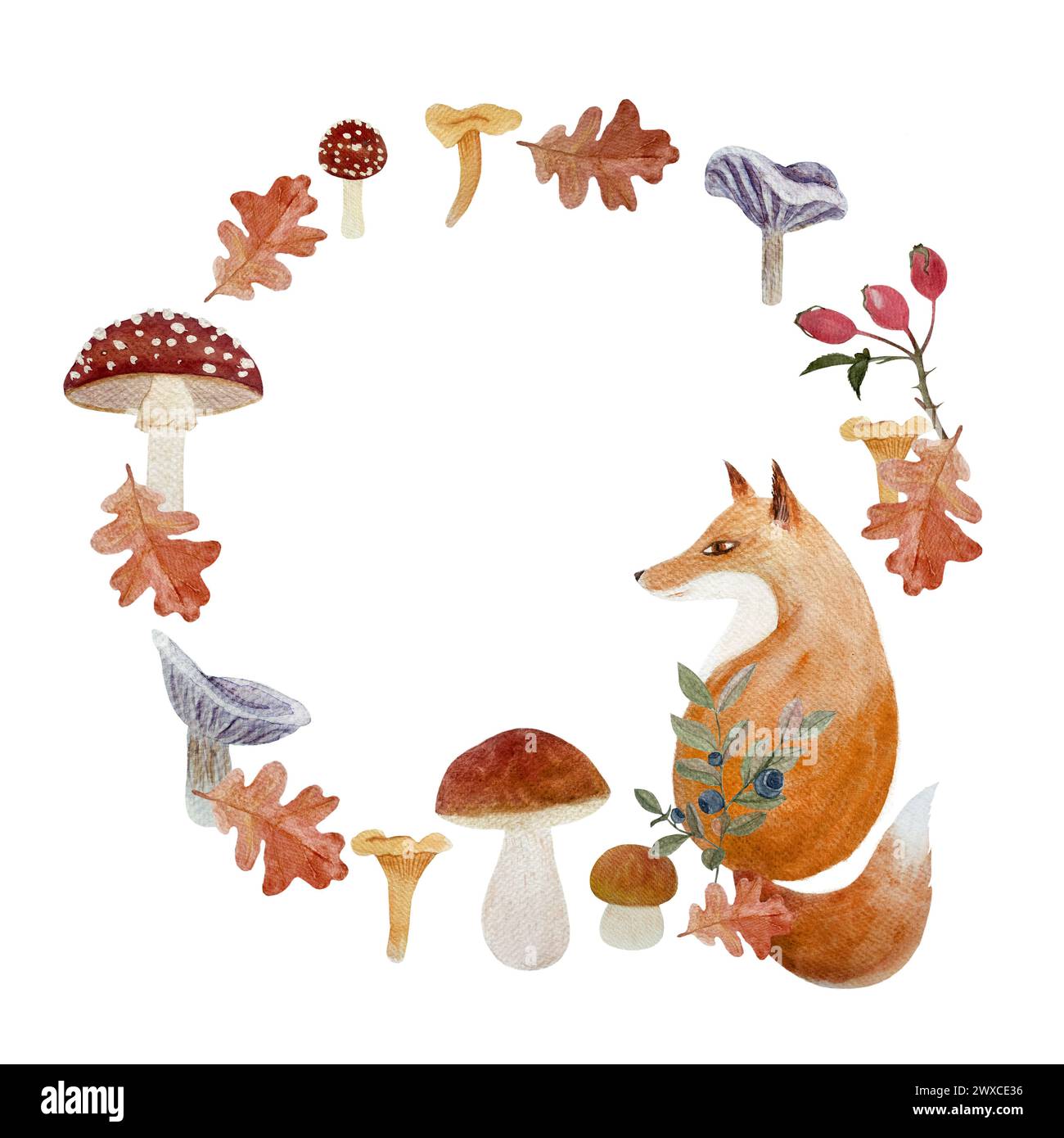Fox in a forest plants frame watercolor flat illustration isolated on ...
