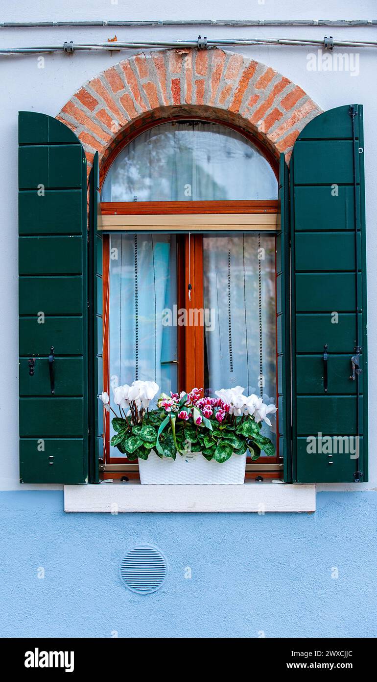 Closed window in blue stucco wall,  green shutters, and flower pot on window sill Stock Photo
