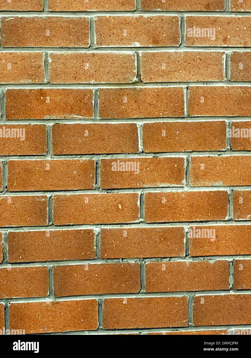 Brick wall texture Stock Photo