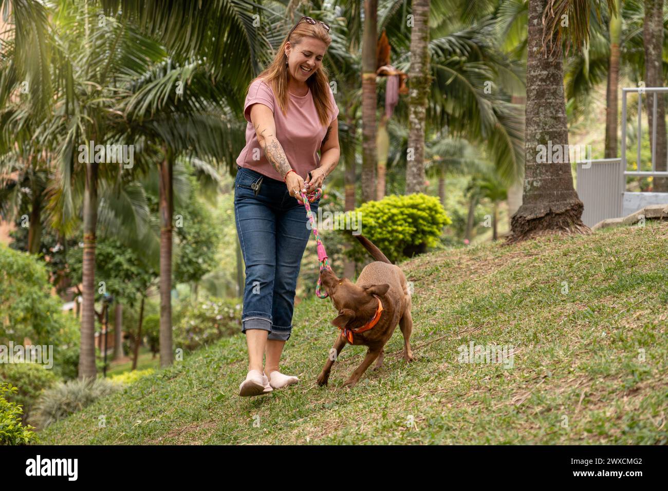 Middle-aged woman smiling and playing with her dog, who is pulling on the leash, in a landscaped area. Stock Photo