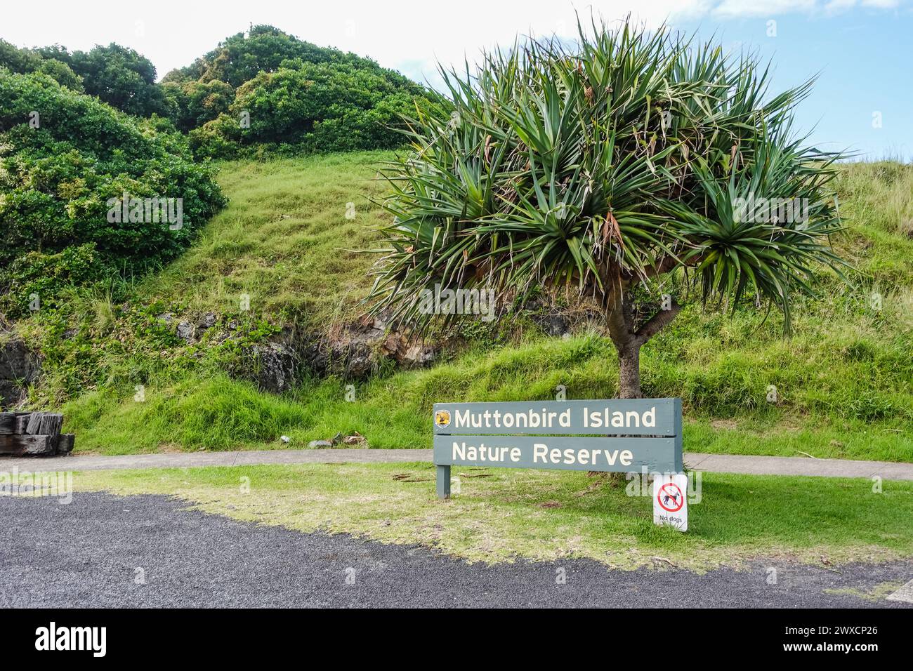 Muttonbird Island, in Coffs Harbour, Australia, offers stunning coastal views and wildlife observation opportunities. A short walk from the harbor, it Stock Photo