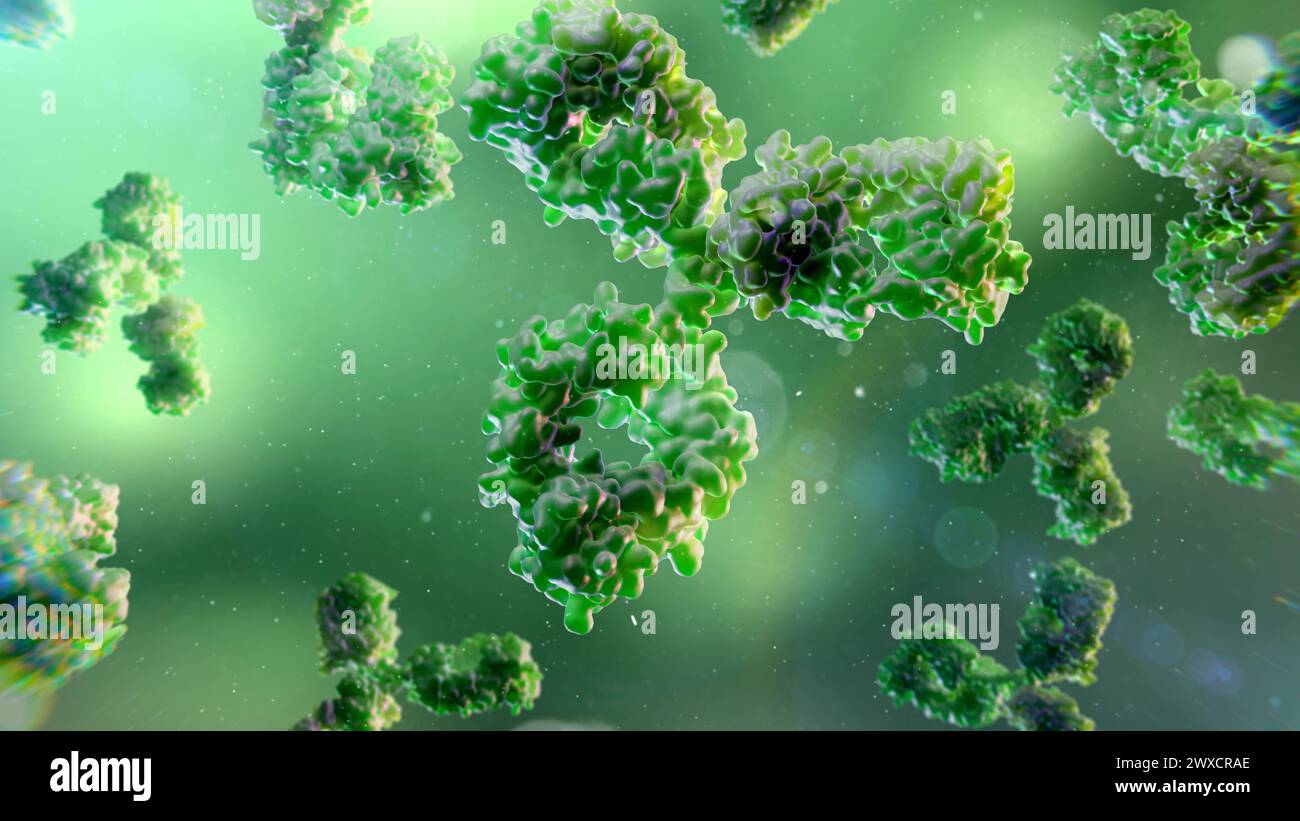 Illustration of antibody technologies, based on the 3D structure of ...