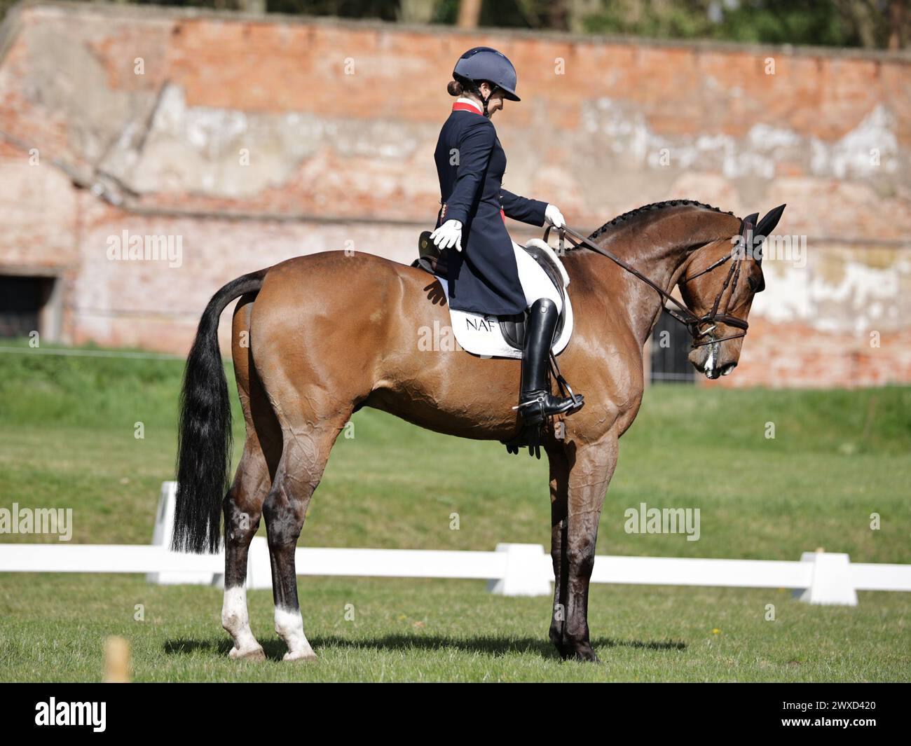 Laura Collett of the United Kingdom with London 52 during CCI4*S