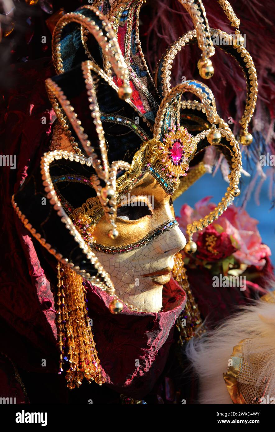 Court jester hat hi-res stock photography and images - Alamy
