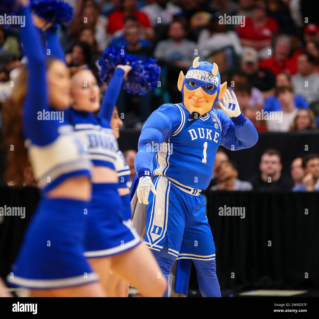 Duke mascot 2024 hires stock photography and images Alamy