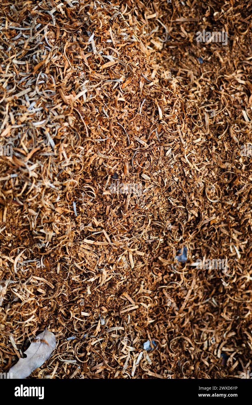 Sawdust or wood dust texture background. Stock Photo