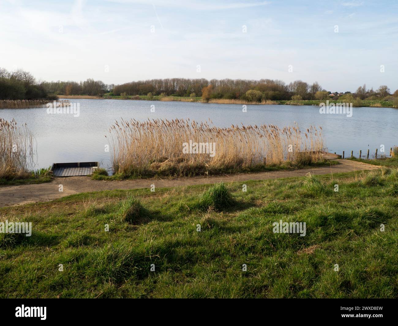 Cleethorpes Country Park. Needing attention, once open water now choked