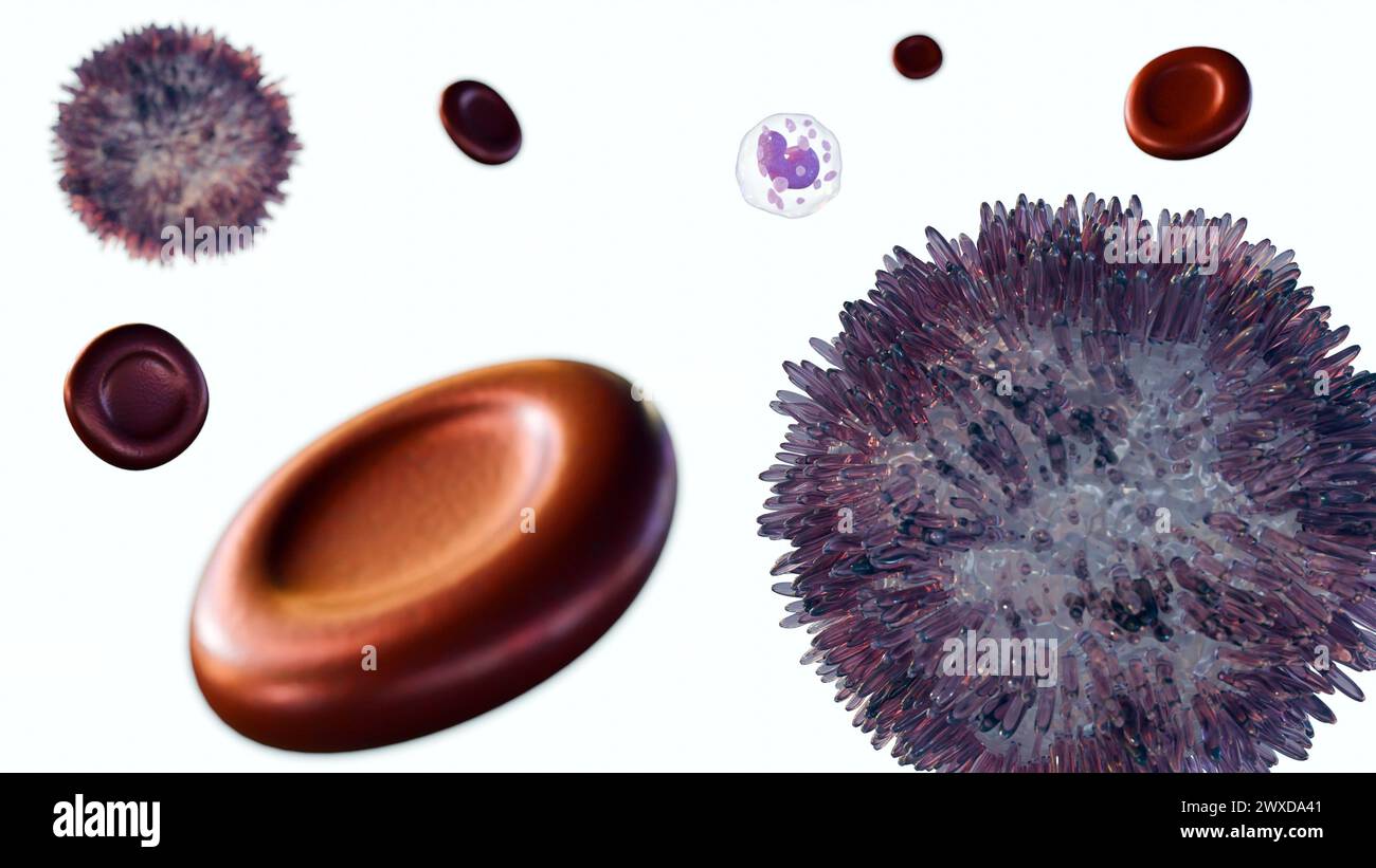 3d rendering of Hairy cell leukemia (HCL) is a rare type of chronic leukemia that develops slowly from white blood cells called B lymphocytes. Stock Photo