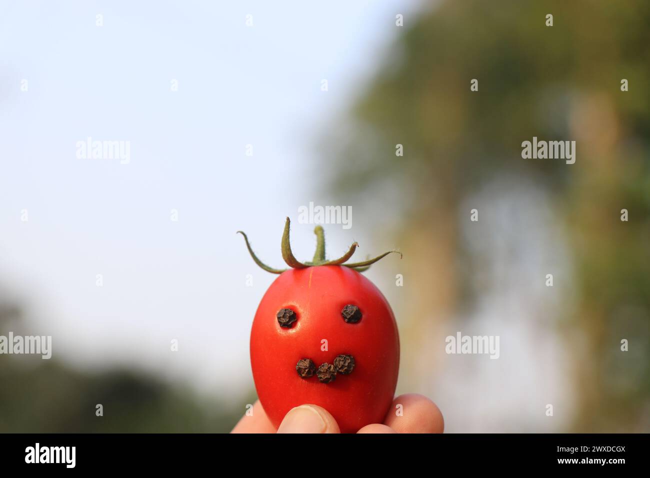 Tomato that looks happy concept made with natural available food. Concept of eat organic foods Stock Photo