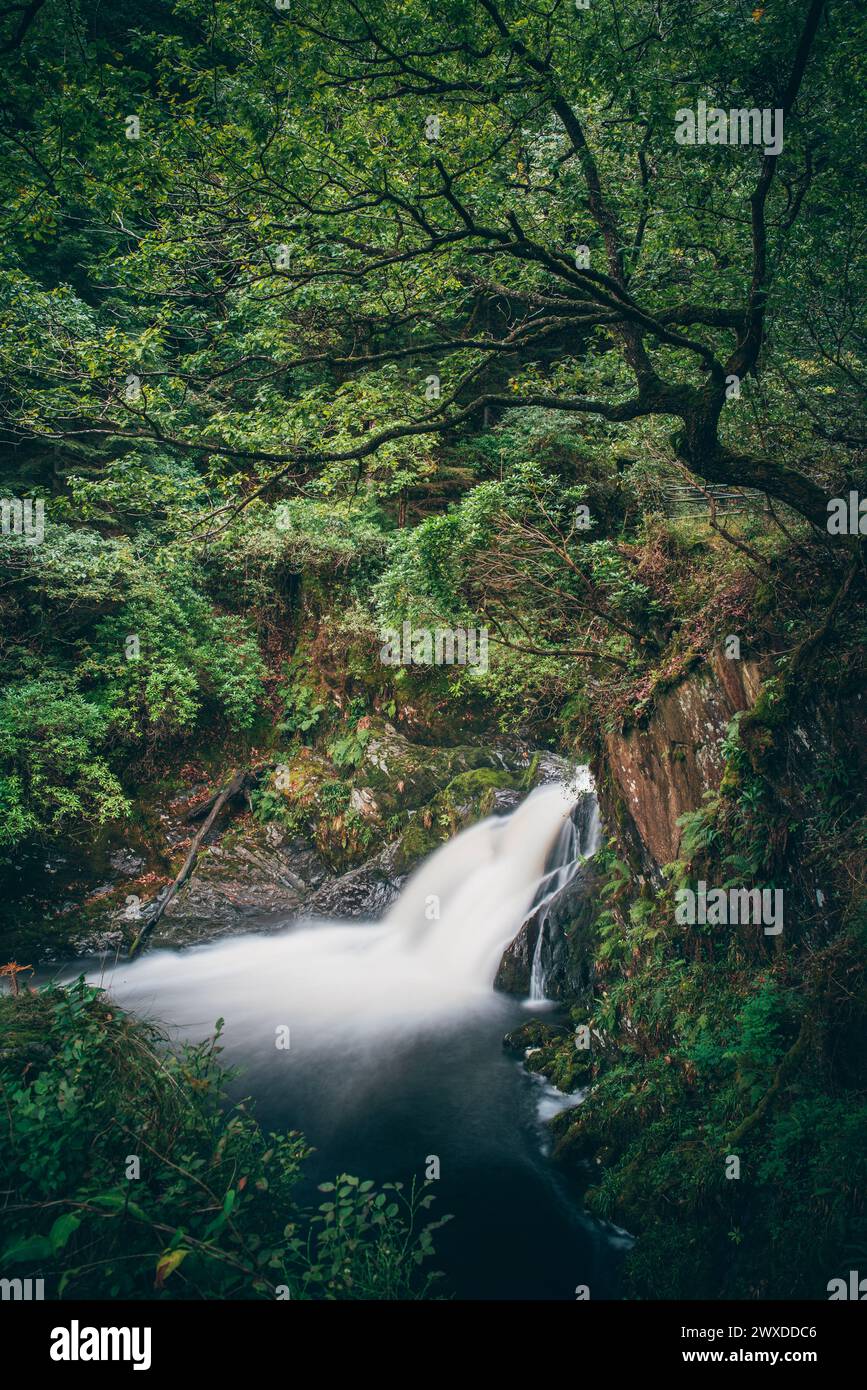 Devils Bridge Falls Stock Photo - Alamy