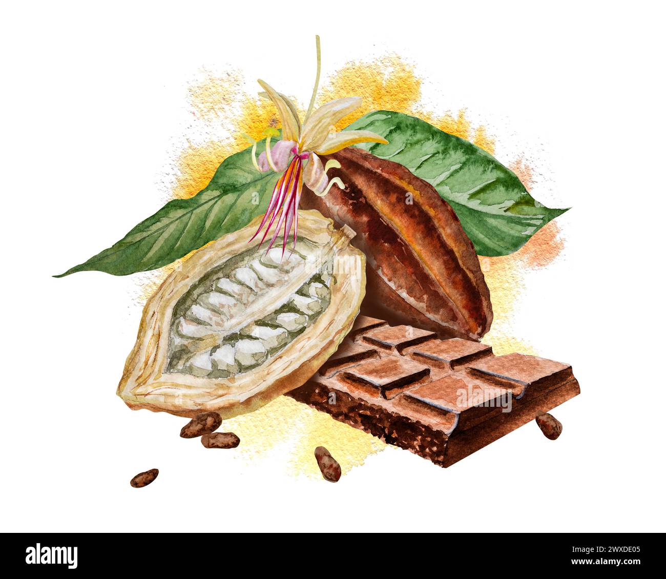 Watercolor illustration of chocolate, cocoa ingredients with cocoa