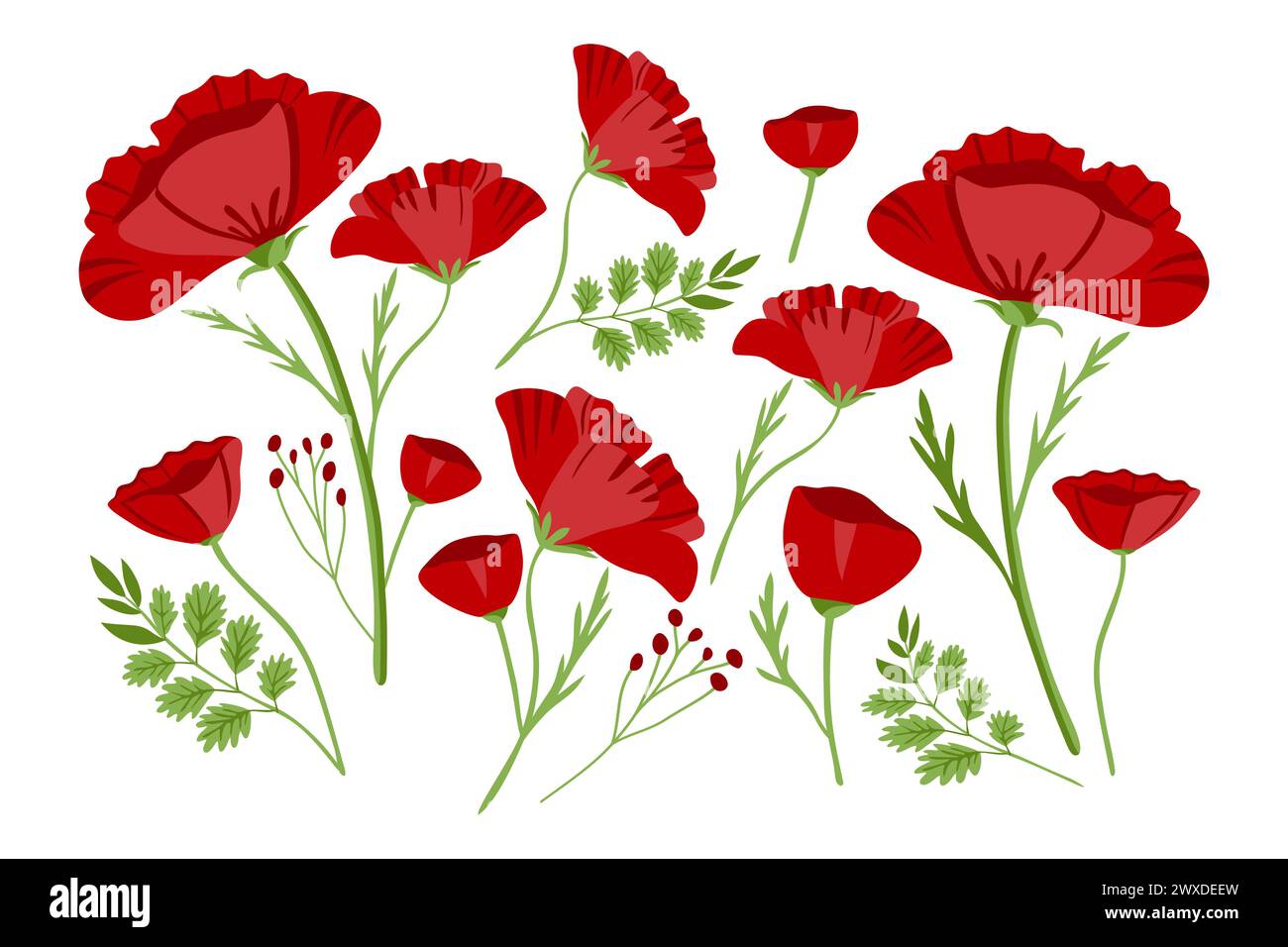 Red poppy flowers on field Stock Vector Images - Alamy