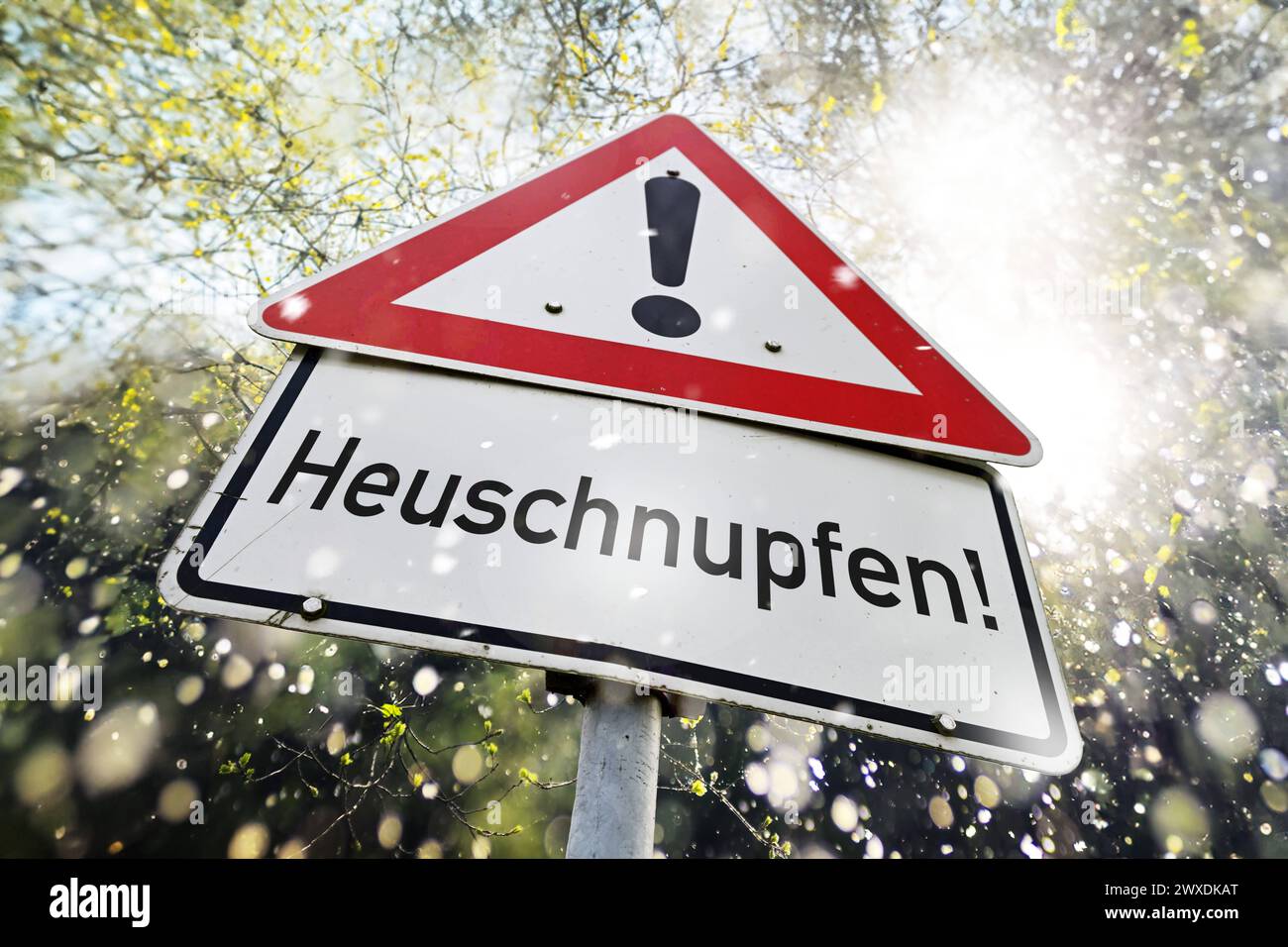 FOTOMONTAGE, Gefahrenschild Heuschnupfen *** FOTOMONTAGE, hay fever danger sign Stock Photo