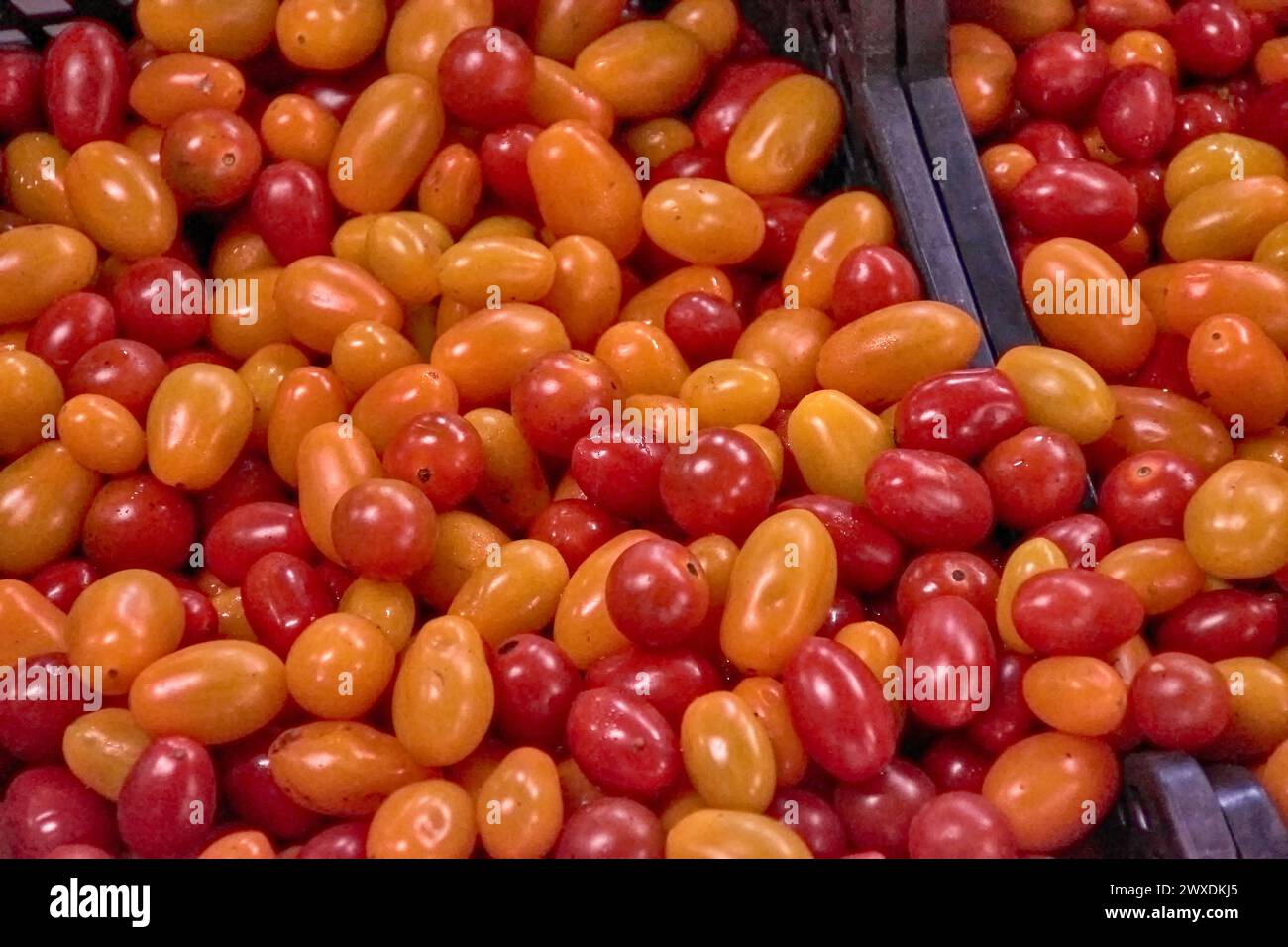 Closeup of red and yellow cherry tomatoes at a vegetable stall at the Graca market in Ponta Delgada, Azores, Portugal Stock Photo