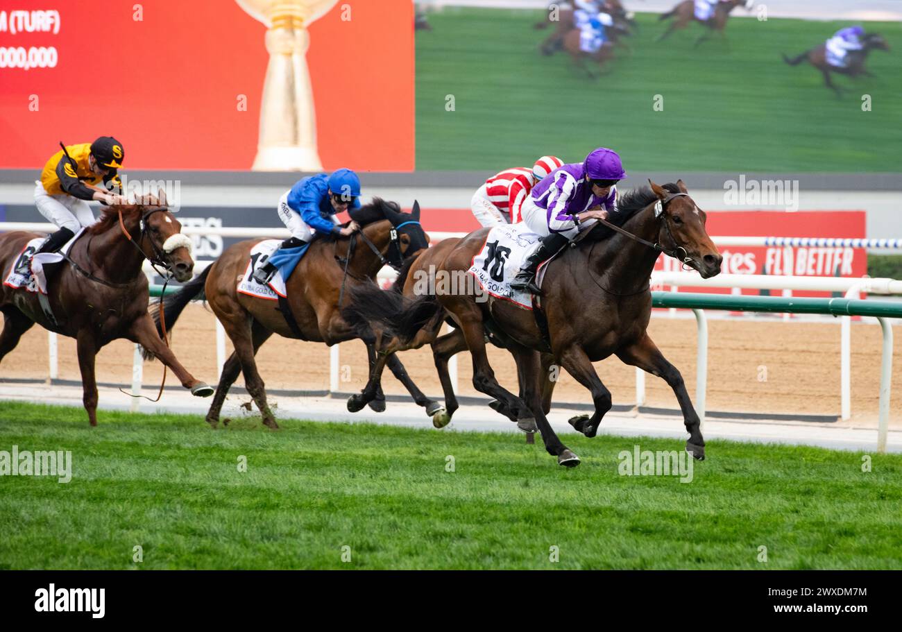 Dubai, United Arab Emirates. Saturday 30th March 2024. Tower of London and jockey Ryan Moore win the 2024 renewal of the Group 2 Dubai Gold Cup sponsored by Al Tayer Motors for trainer Aidan O'Brien and owners Derrick Smith, Michael Tabor, Mrs John Magnier and Westerberg. Credit JTW Equine Images / Alamy Live News Stock Photo