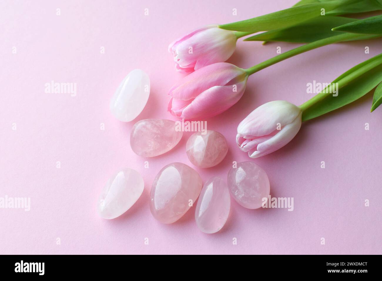 Rose quartz crystals and a bouquet of pink tulips. Healing crystals, the magic of precious stones. Stock Photo