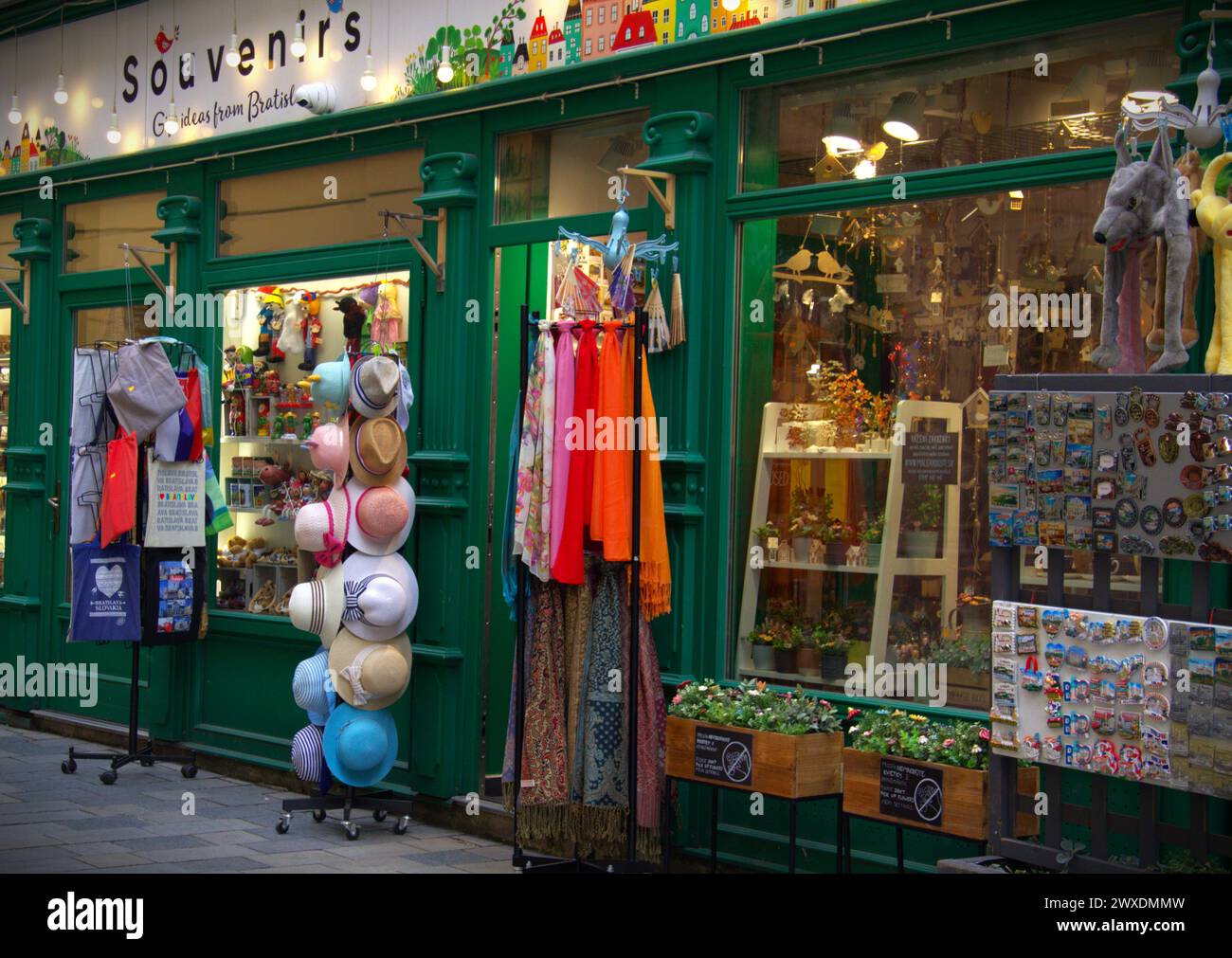 Buying souvenirs shop tourism hires stock