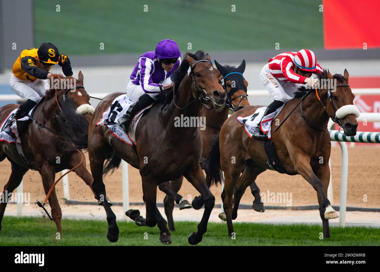 Dubai, United Arab Emirates. Saturday 30th March 2024. Tower of London and jockey Ryan Moore win the 2024 renewal of the Group 2 Dubai Gold Cup sponsored by Al Tayer Motors for trainer Aidan O'Brien and owners Derrick Smith, Michael Tabor, Mrs John Magnier and Westerberg. Credit JTW Equine Images / Alamy Live News Stock Photo