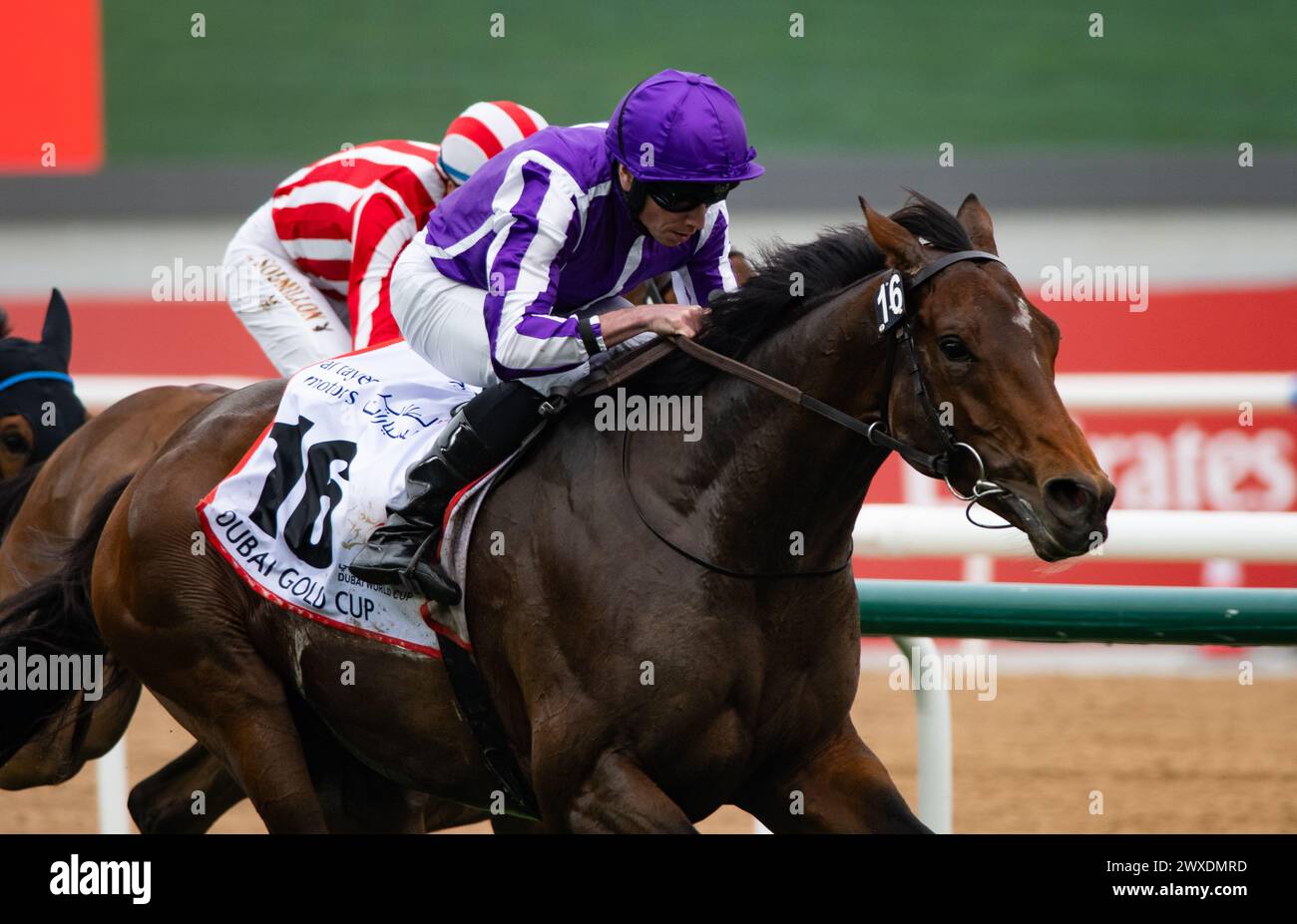 Dubai, United Arab Emirates. Saturday 30th March 2024. Tower of London and jockey Ryan Moore win the 2024 renewal of the Group 2 Dubai Gold Cup sponsored by Al Tayer Motors for trainer Aidan O'Brien and owners Derrick Smith, Michael Tabor, Mrs John Magnier and Westerberg. Credit JTW Equine Images / Alamy Live News Stock Photo