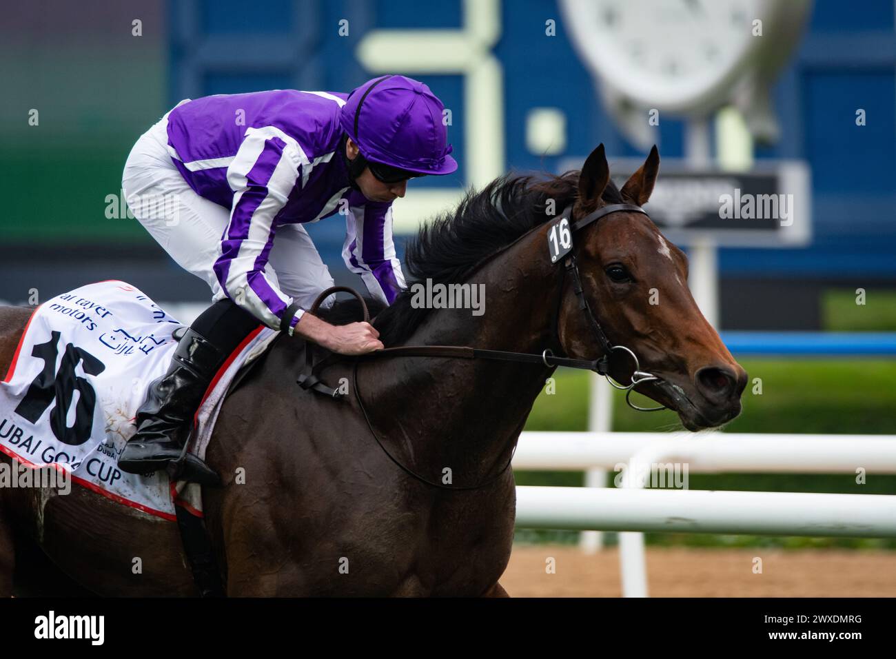 Dubai, United Arab Emirates. Saturday 30th March 2024. Tower of London and jockey Ryan Moore win the 2024 renewal of the Group 2 Dubai Gold Cup sponsored by Al Tayer Motors for trainer Aidan O'Brien and owners Derrick Smith, Michael Tabor, Mrs John Magnier and Westerberg. Credit JTW Equine Images / Alamy Live News Stock Photo