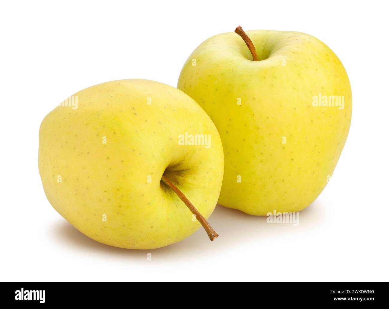 golden delicious apple path isolated on white Stock Photo