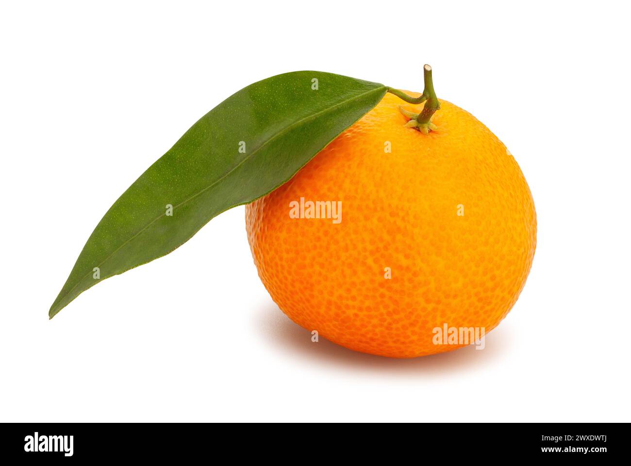 tangerine path isolated on white Stock Photo