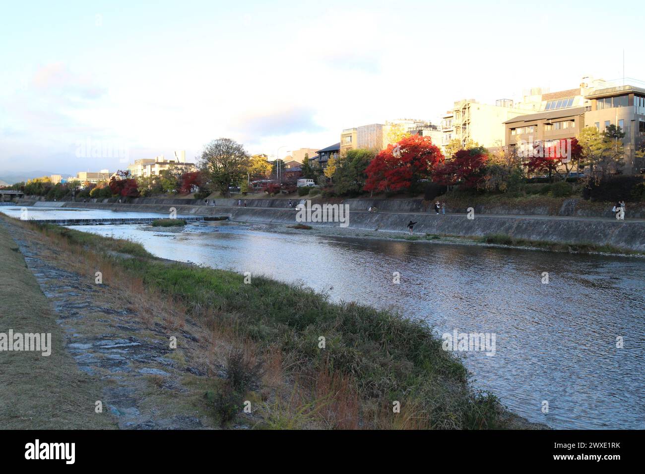 Autumn scenery along Kamogawa River in Kyoto, Japan Stock Photo