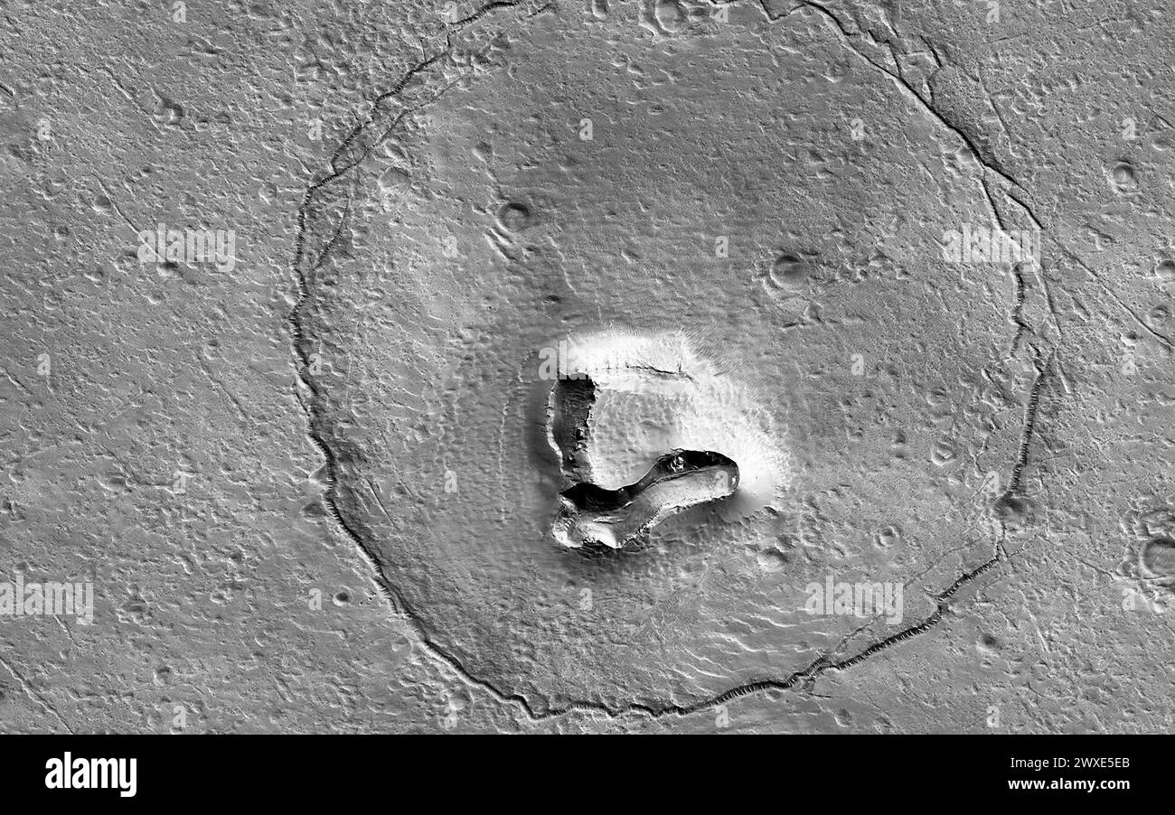 The Mars Reconnaissance Orbiter (MRO) captured this bit of ursine pareidolia on 12 December 2022. While it resembles a bear we might see on Earth, this is actually a hill on Mars with a peculiar shape. A V-shaped collapse structure makes the nose, two craters form the eyes, and a circular fracture pattern shapes the head. The circular fracture pattern might be due to the settling of a deposit over a buried impact crater.  An optimised and enhanced version of NASA imagery. Credit: NASA/JPL/UArizona Stock Photo