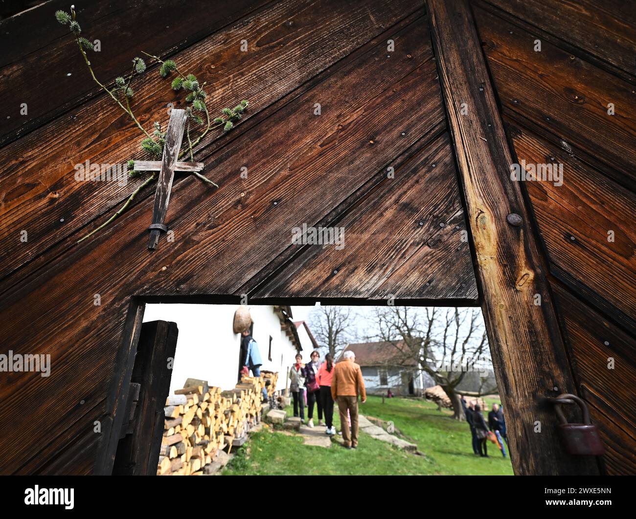 Pohled, Czech Republic. 30th Mar, 2024. Two days of Easter celebrations began today, on March 30, 2024, at Michal's farm in Pohled in the Havlickuv Brod district, Vysocina Region. Their traditional form was reminded not only by the furnishings of the farmstead, but also by the performance of the folklore ensemble Skubanek (not seen) from Svetla nad Sazavou. Credit: Lubos Pavlicek/CTK Photo/Alamy Live News Stock Photo