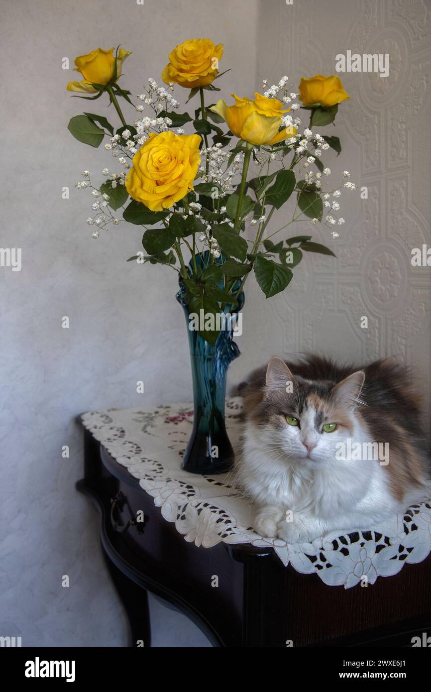 Still life with bouquet of yellow roses and  pretty cat Stock Photo