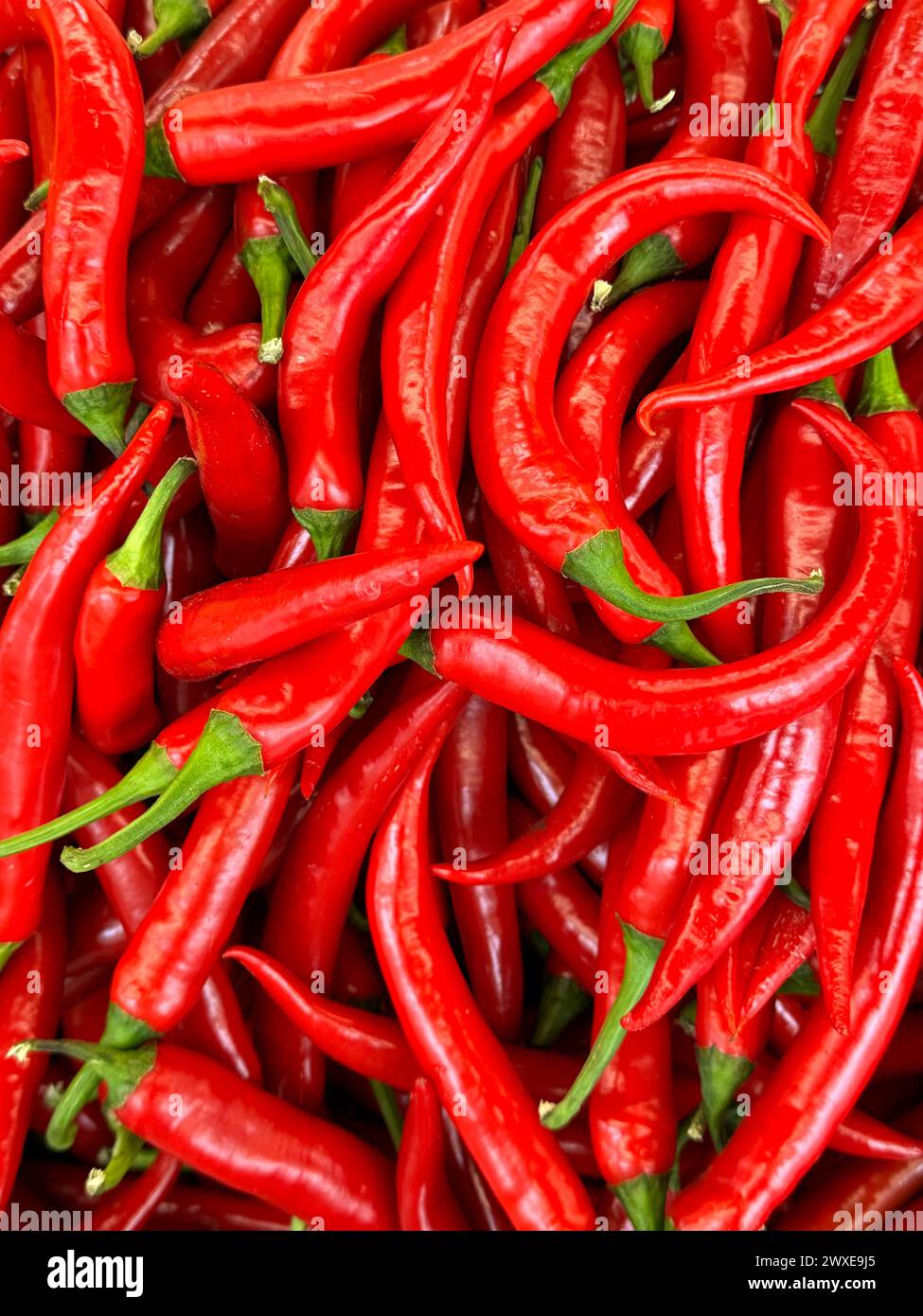 Close up red chili peppers in hi-res stock photography and images - Alamy