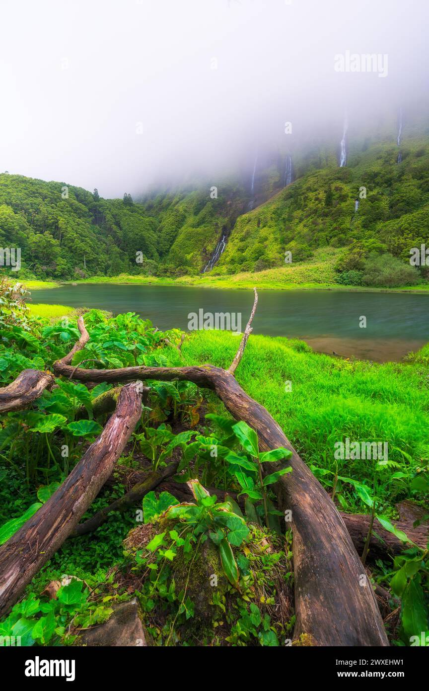 Azores scenic landscape, Flores island. Iconic lagoon with several waterfalls on a single rockface, flowing into lake Alagoinha. Best travel destinati Stock Photo