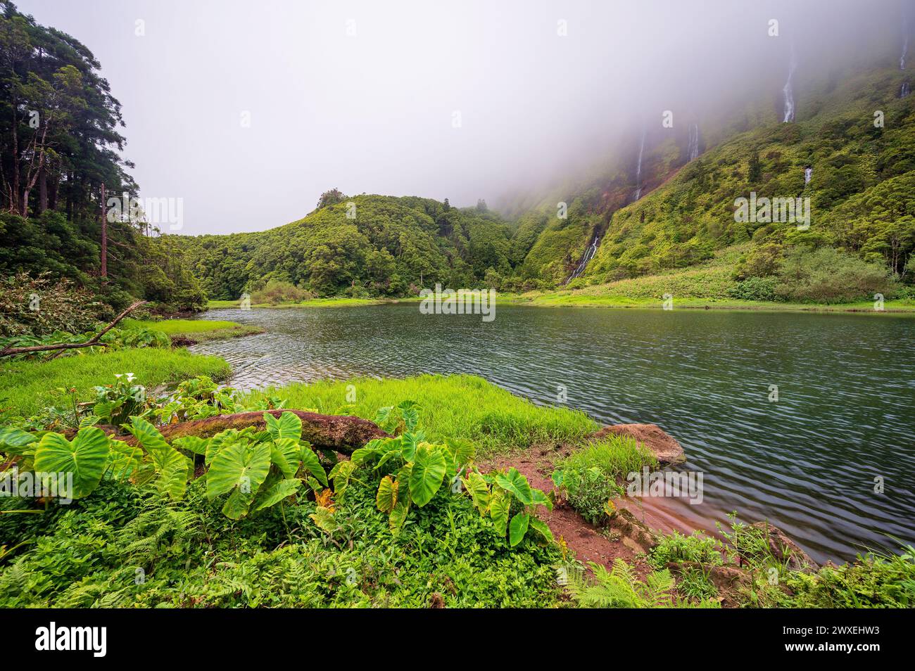Azores scenic landscape, Flores island. Iconic lagoon with several waterfalls on a single rockface, flowing into lake Alagoinha. Best travel destinati Stock Photo