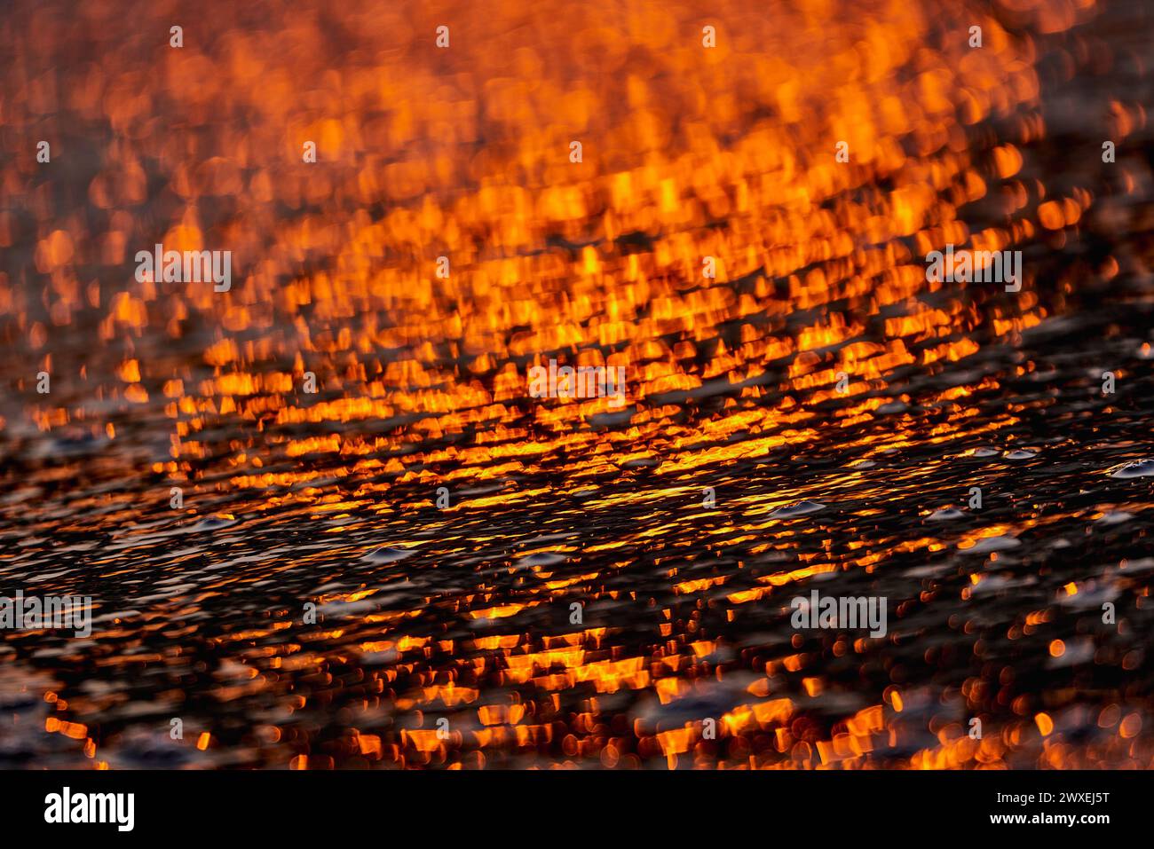 Gilded Ripples Dance Upon Molten Waters Stock Photo
