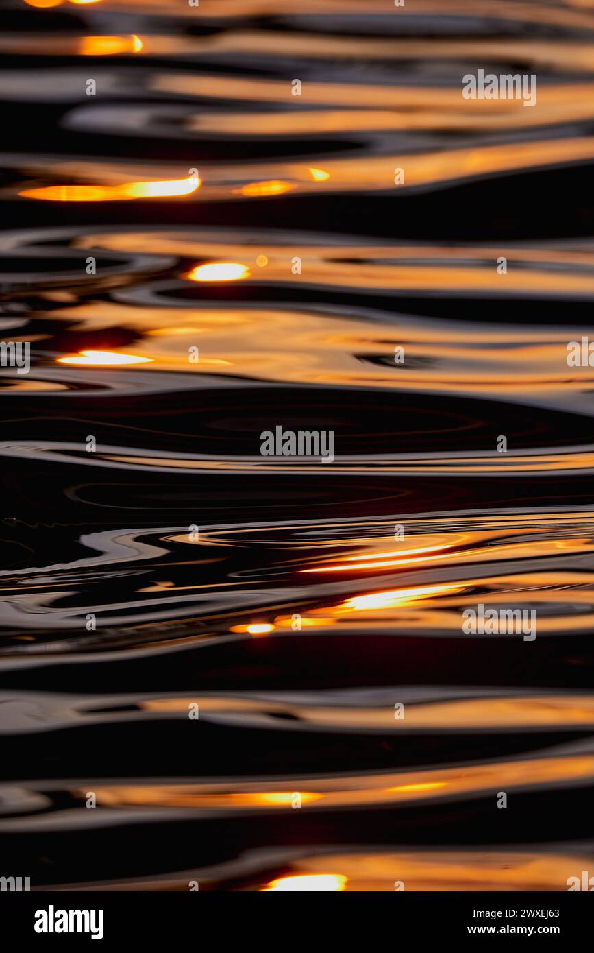 Gilded Ripples Dance Upon Molten Waters Stock Photo