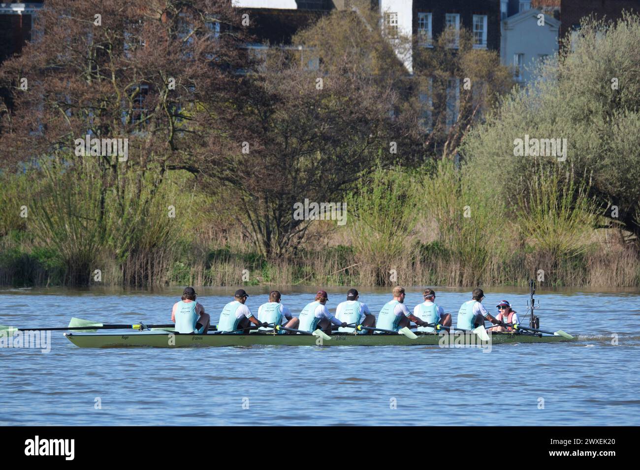 River Thames - High levels of E. coli from Raw sewage have been found in the river where universities race every year. Cambridge crew Stock Photo