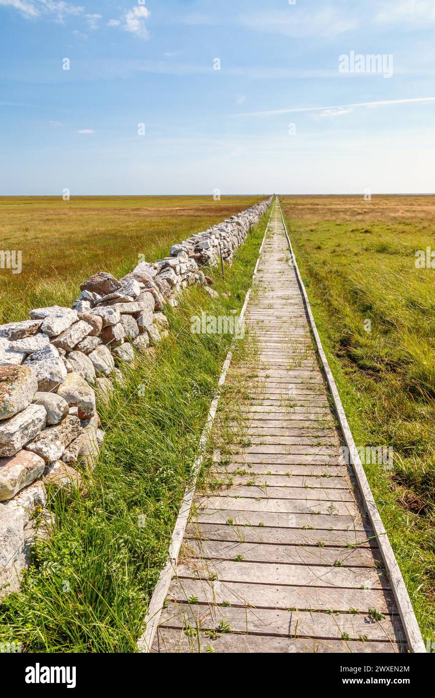 Moorland footpath hi-res stock photography and images - Alamy