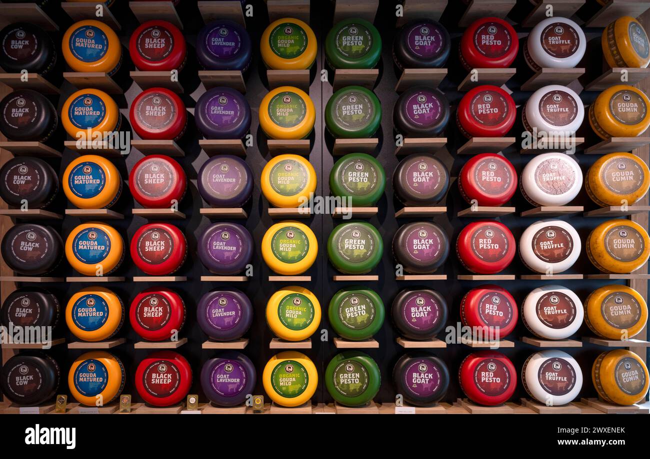 Interior photo, various cheeses, Gouda, shelf, display, colourful, Cheese & More, shop, retail, food, Frankfurt am Main, Hesse, Germany Stock Photo