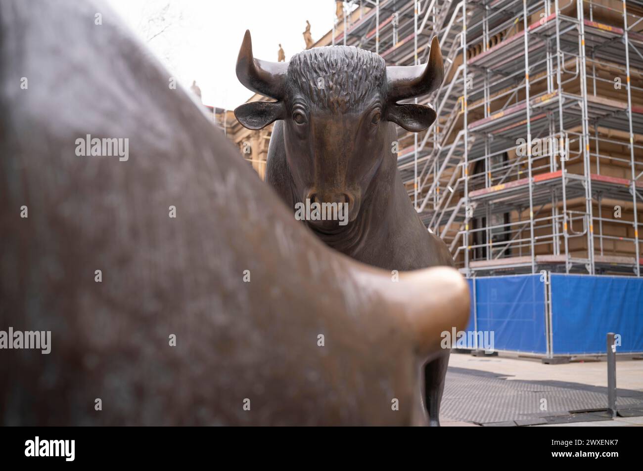 Bull and bear, sculptures by Reinhard Dachlauer, Boersennplatz, stock exchange, construction site, scaffolding, scaffolding, Frankfurt am Main Stock Photo