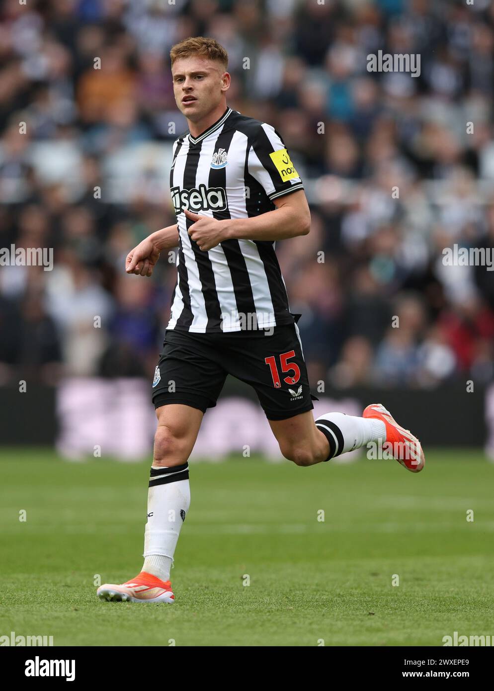 Harvey barnes newcastle hi-res stock photography and images - Alamy