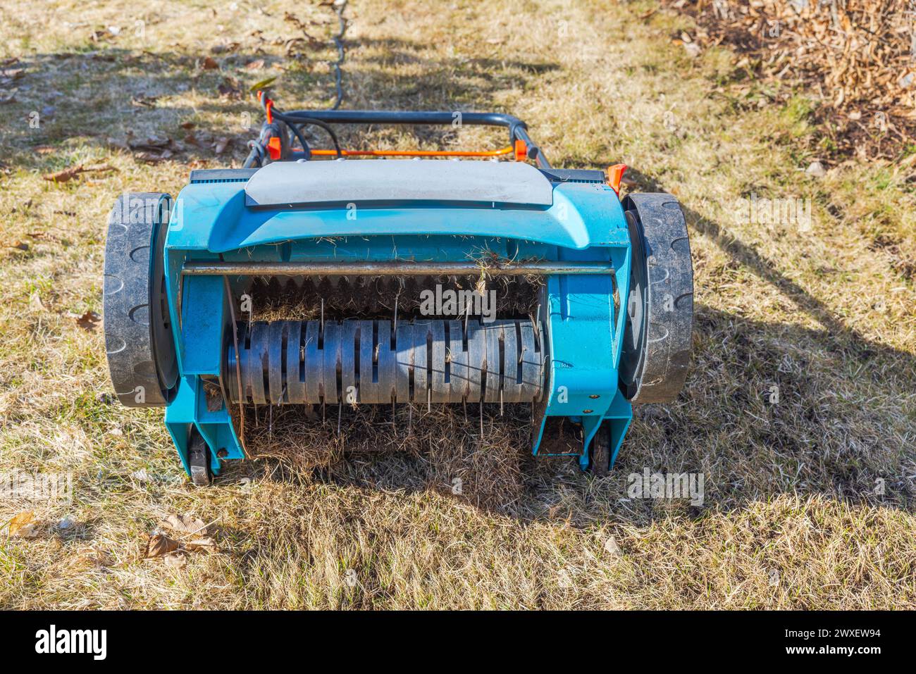 Close-up of an electric lawn aerator with a barbed wire nozzle on yellow grass in a garden on a spring day in Sweden. Stock Photo