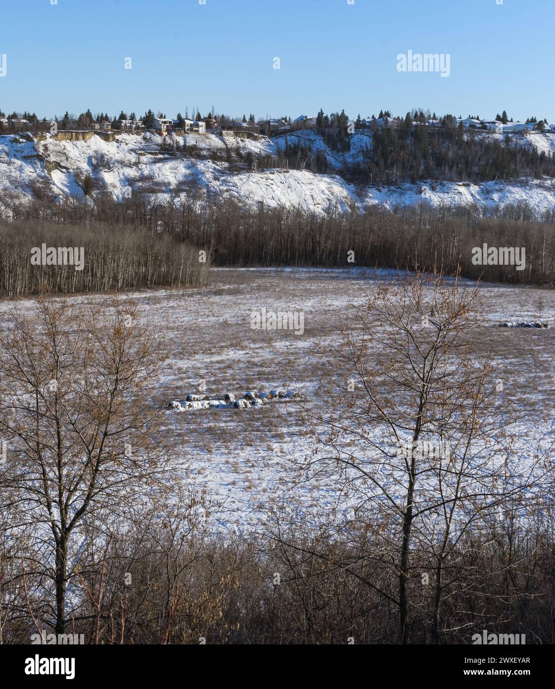 North Saskatchewan river valley field winter landscape with hay bales Stock Photo