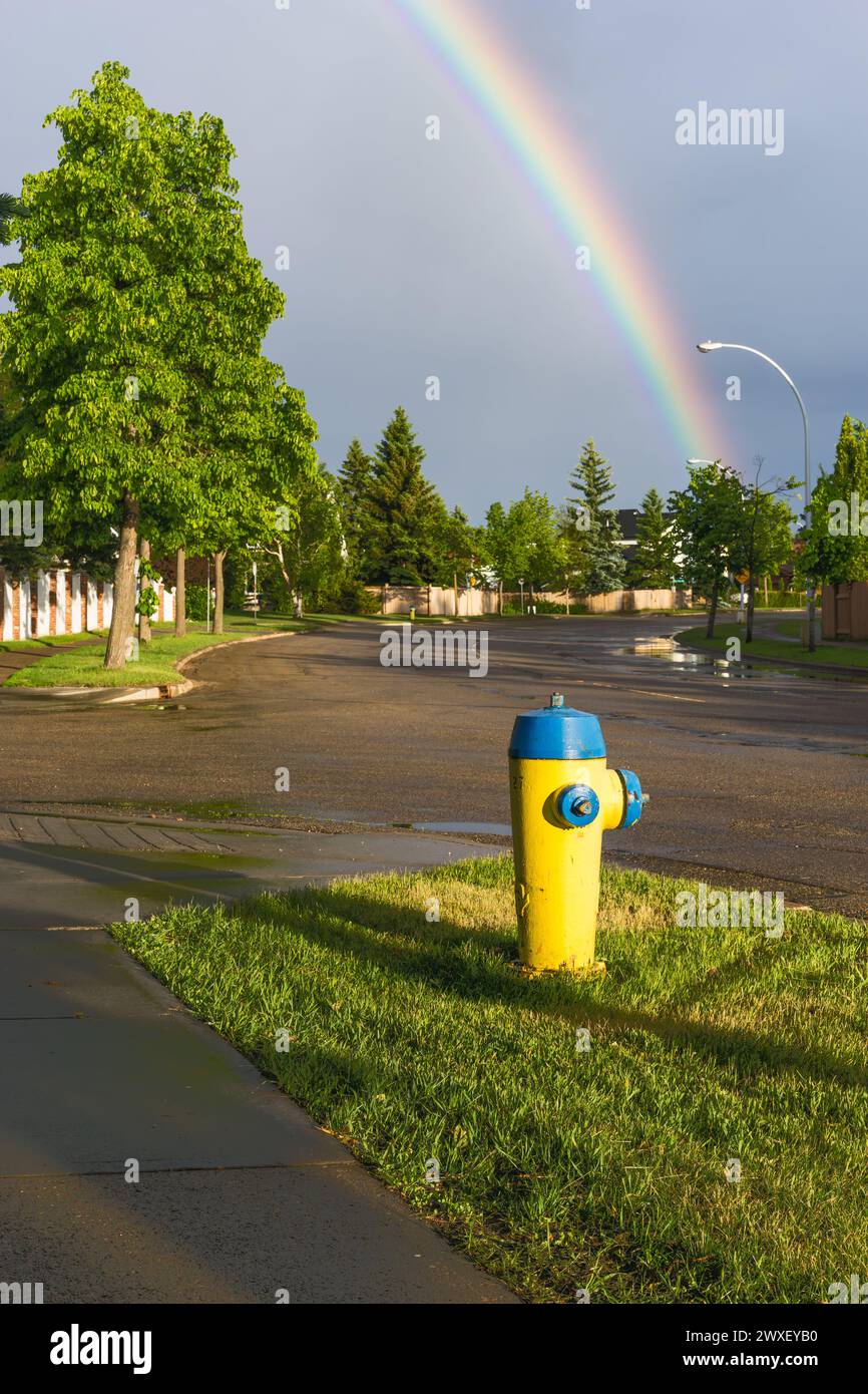Yellow and blue color fire hydrant with a city wet street after rain and rainbow Stock Photo