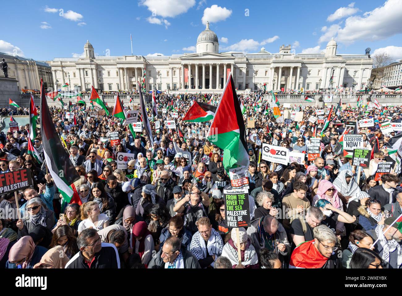 London, UK. 30th Mar, 2024. Thousands of protesters with placards and flags descend in London's Trafalgar Square during the demonstration calling for a ceasefire in Gaza (Photo by Phil Lewis/SOPA Images/Sipa USA) Credit: Sipa USA/Alamy Live News Stock Photo