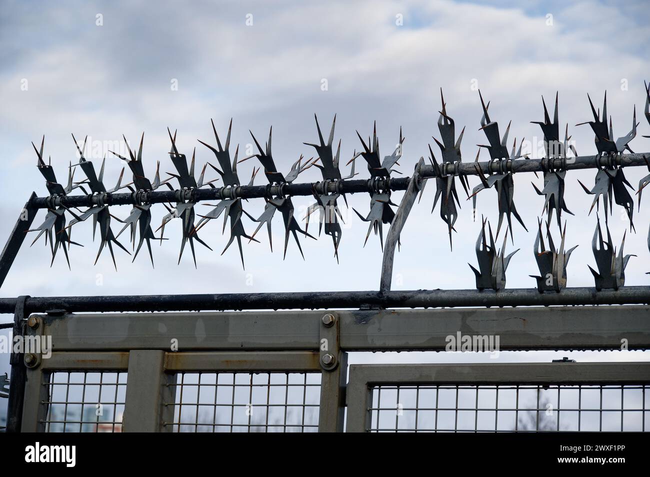 Razor wire injury hires stock photography and images Alamy